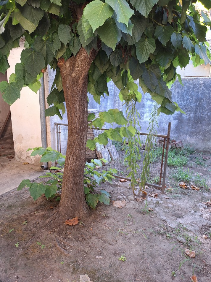 ADMINISTRACIONES Y MANDATOS - VENDE